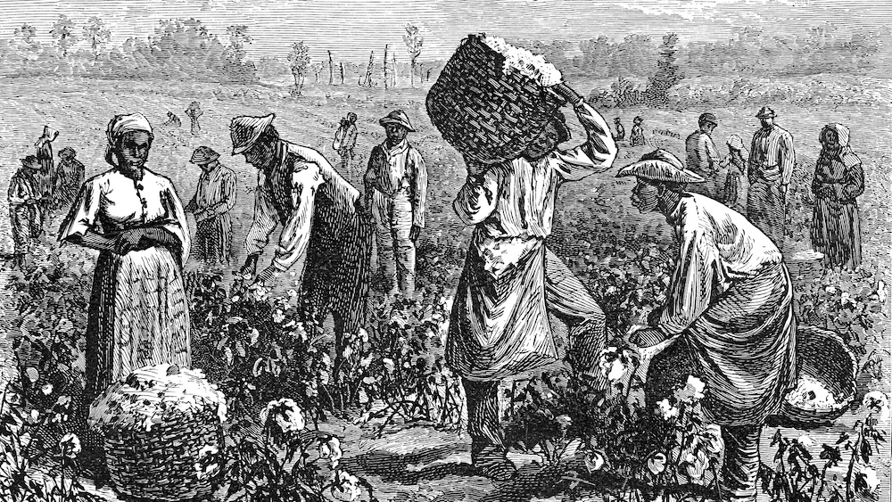 I use enslaved families and not slaves to refer to my ancestors
