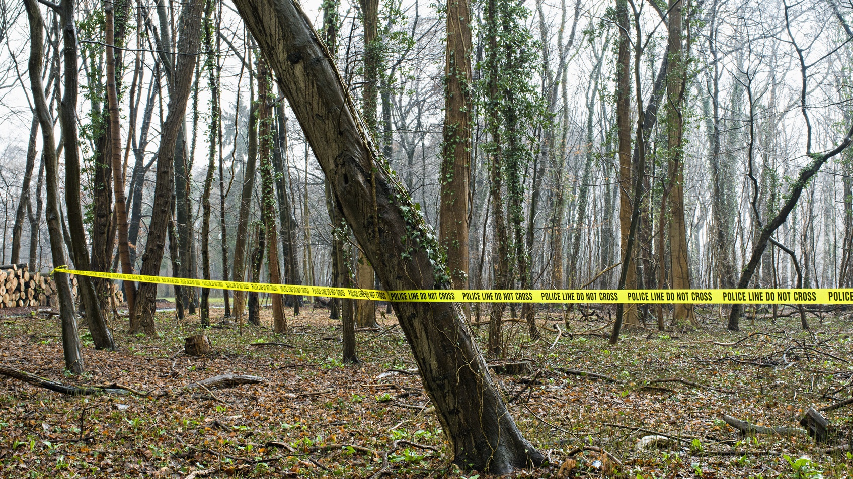 12-Year-Old Atlanta Boy Found Shot To Death In Woods Near Home, Family Pleads For Answers