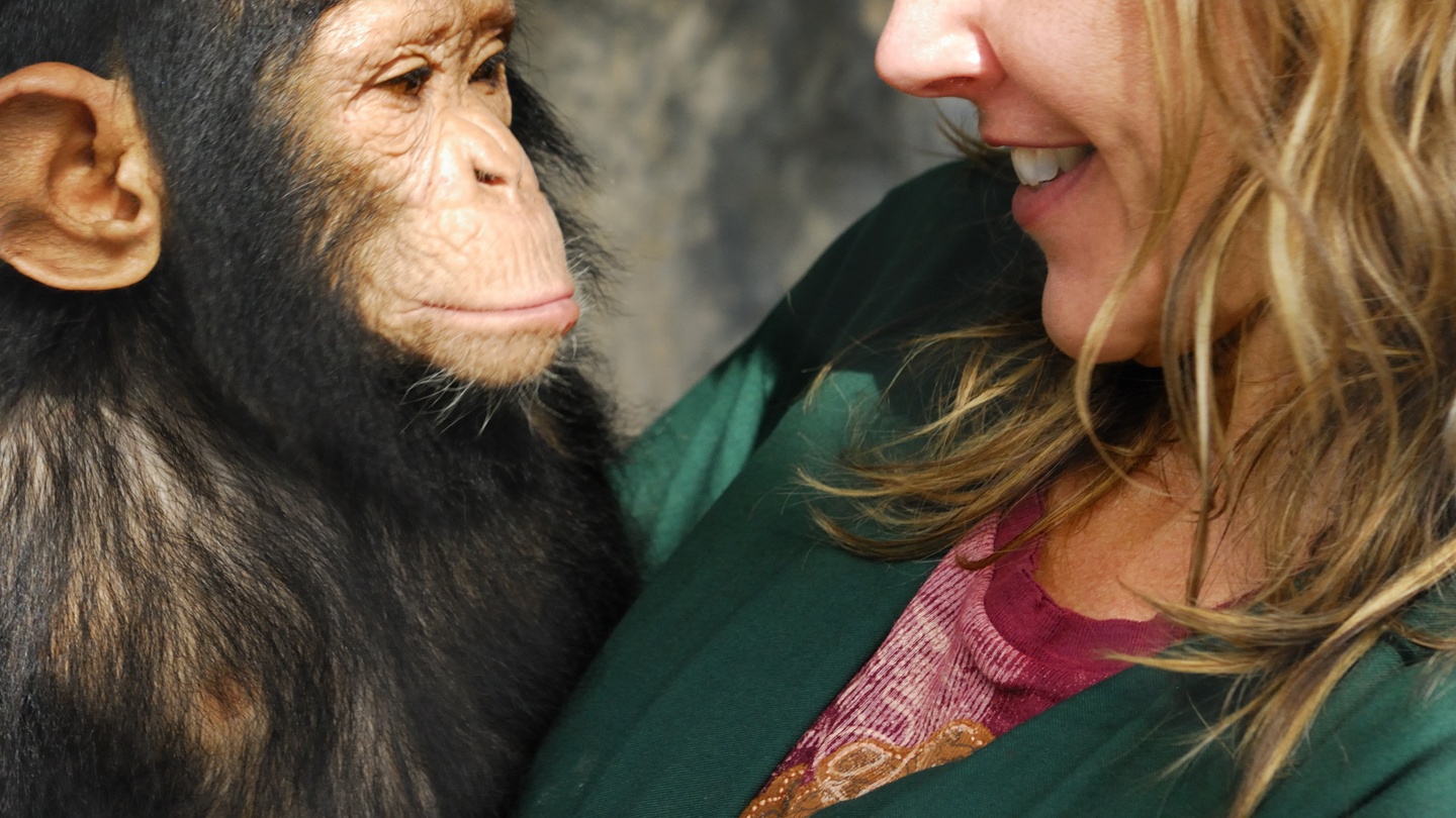 Woman Barred From Visiting Belgian Zoo After Getting A Little Too Intimate With Chimpanzee