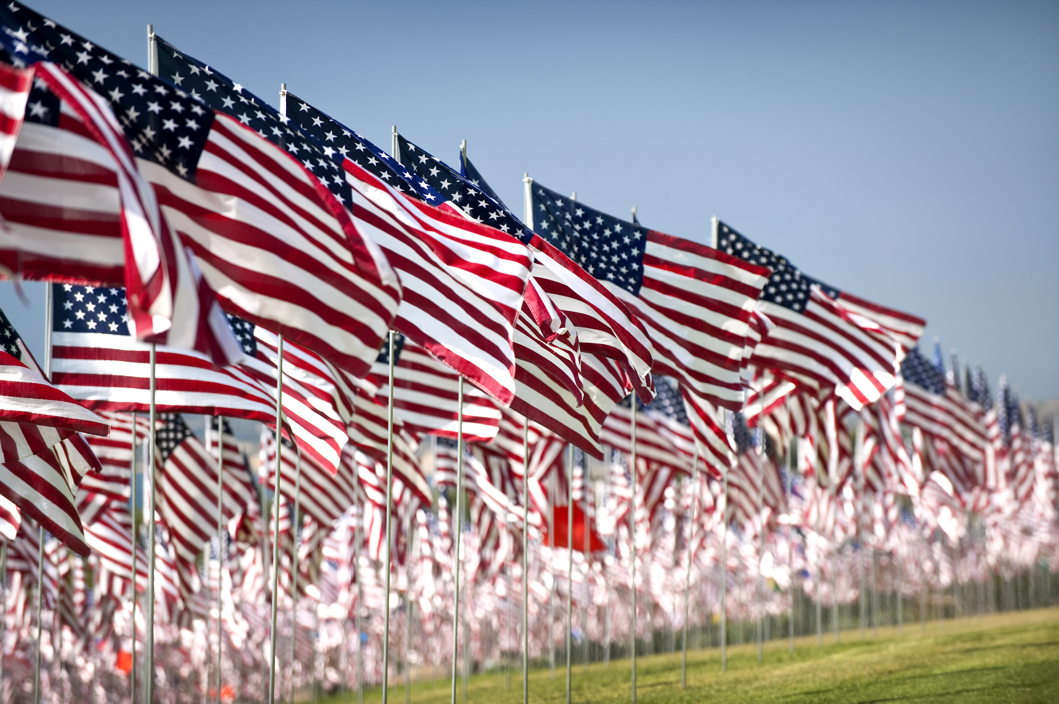 Remains Of 9/11 Victim Dorothy Morgan Identified Nearly 20 Years After Terrorist Attack