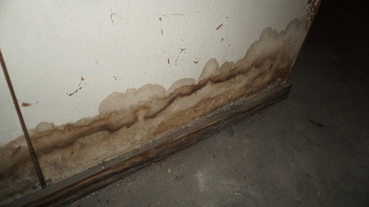 Howard University Student Says She Has Mold And Leaks In Dorm Room