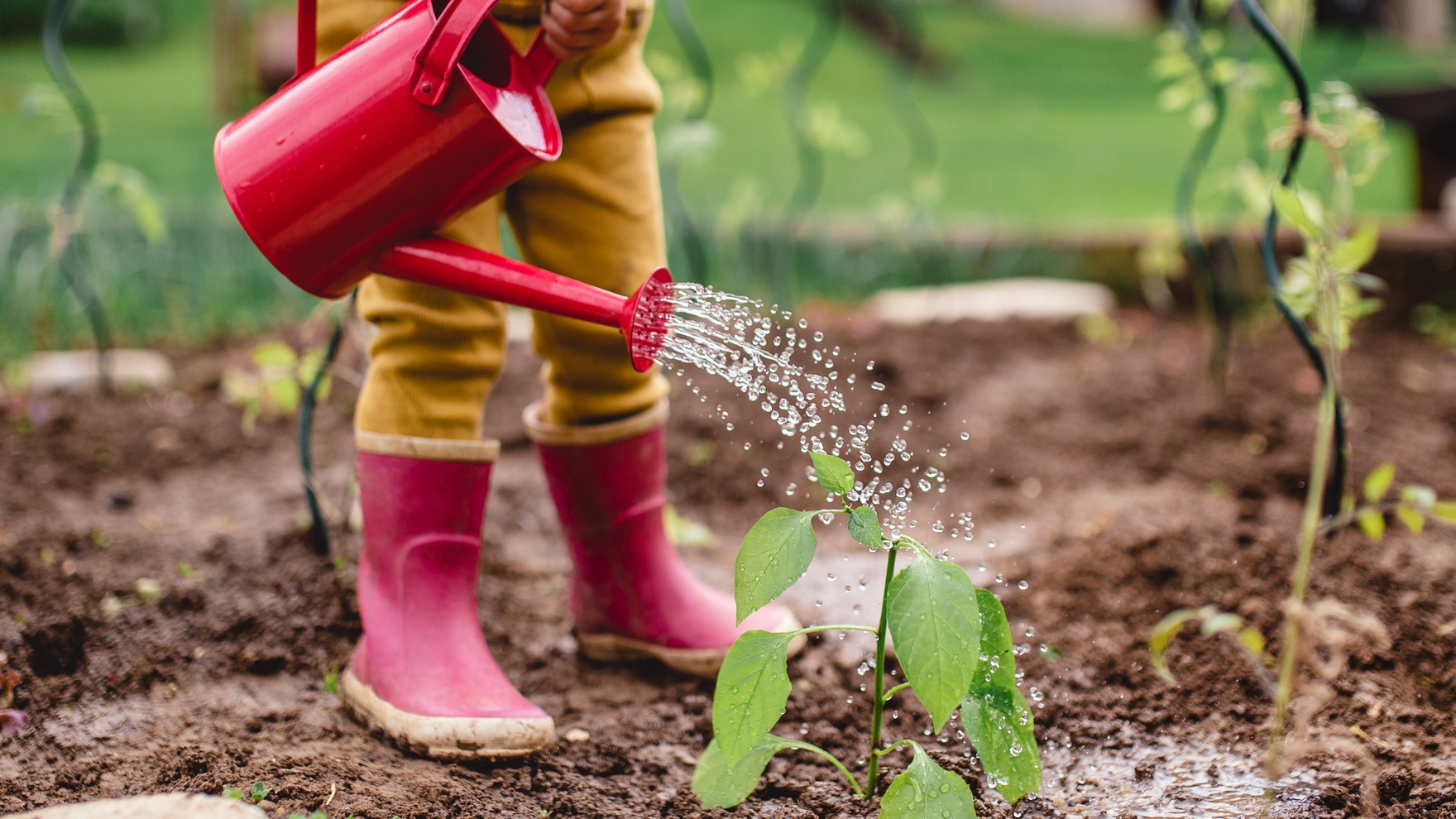 A 6-Year-Old Black Girl Is Georgia's Youngest Farmer