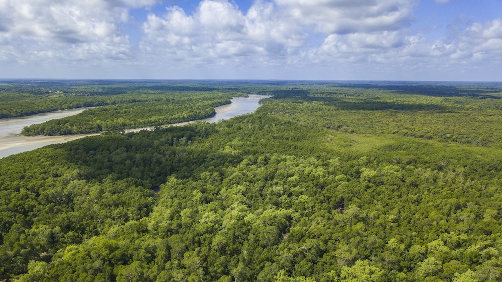 The US Has A Climate Debt To Pay And My Native Land Of Brazil Shouldn't Carry The Burden Alone