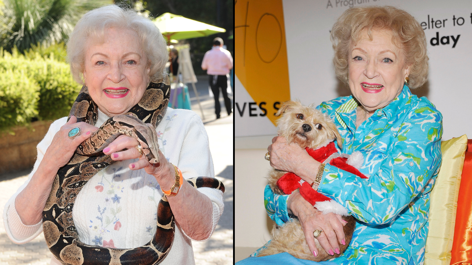 The 'Betty White Challenge' Encourages Fans To Donate $5 To A Local Animal Shelter In Her Honor