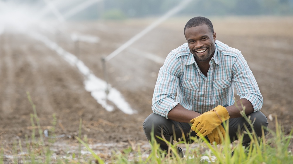 Bringing Black Farmers And Food Businesses Into The Fold Requires Reparative Capital