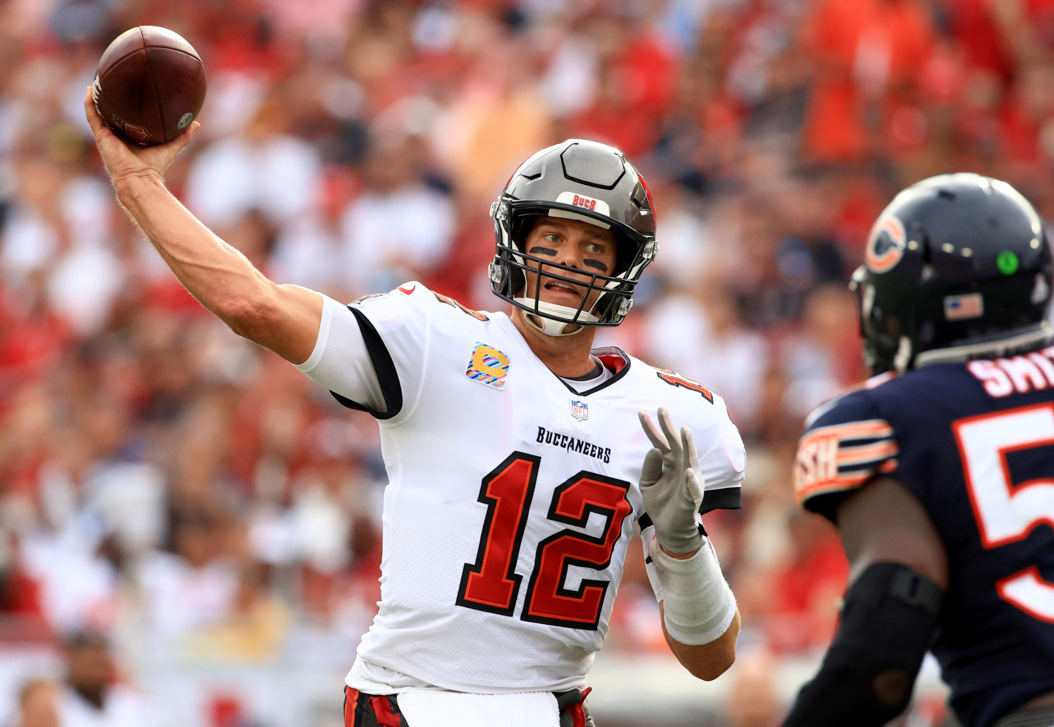 Bears Travel to Tampa Bay to Face Tom Brady and the Buccaneers, Chicago  News