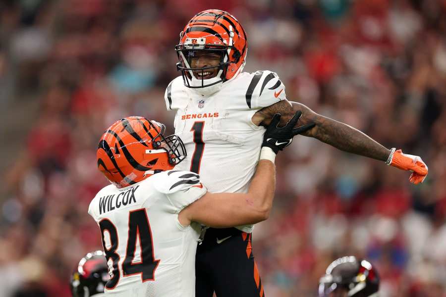 Cincinnati Bengals - Stats & Player Share