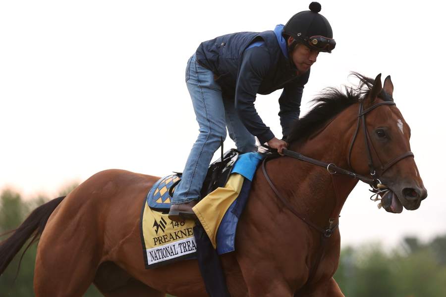 National Treasure wins Preakness Stakes, denying Mage Triple Crown bid with Belmont  Stakes looming