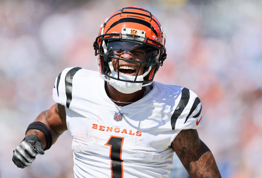 Bengals let WRs Irwin, Thomas go, sign two and establish practice squad