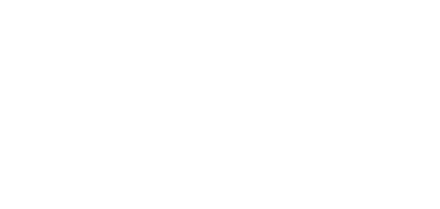 {title}