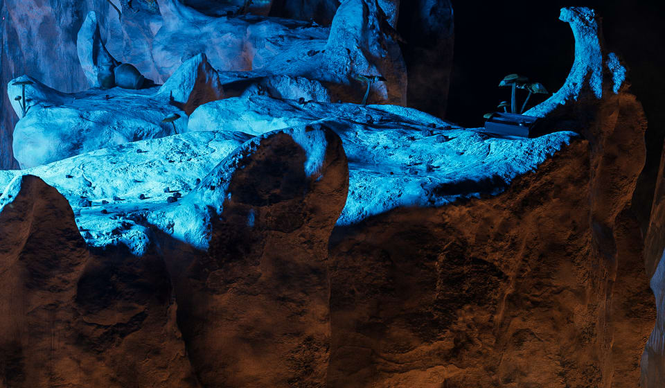 The stone structure has almost bone-like forms, but the material shows all kinds of cracks and rough surfaces.