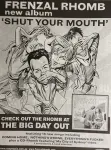 Frenzal Rhomb archive photo from the Art gallery — photo 94