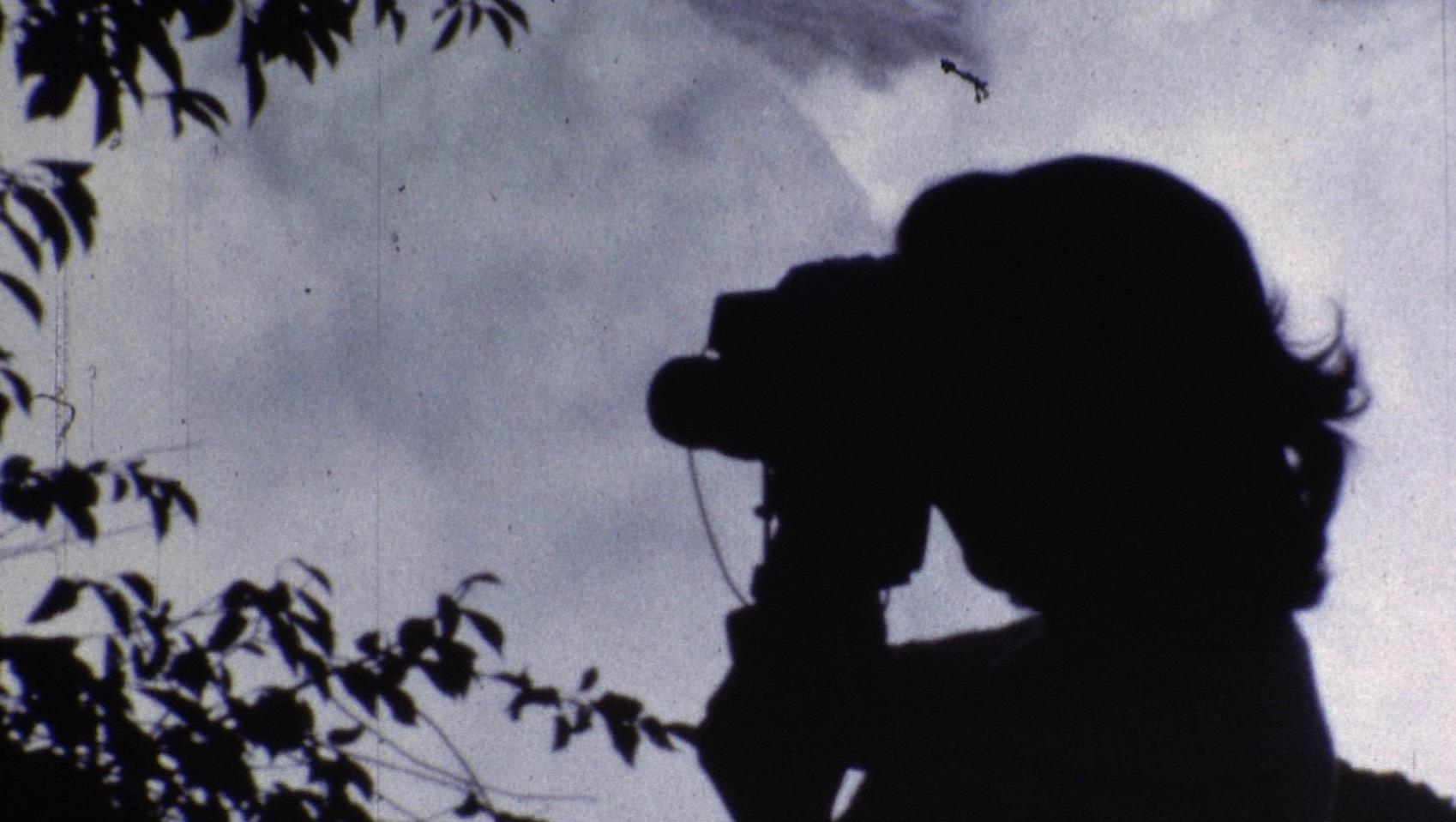 Shorts: Laws of Desire