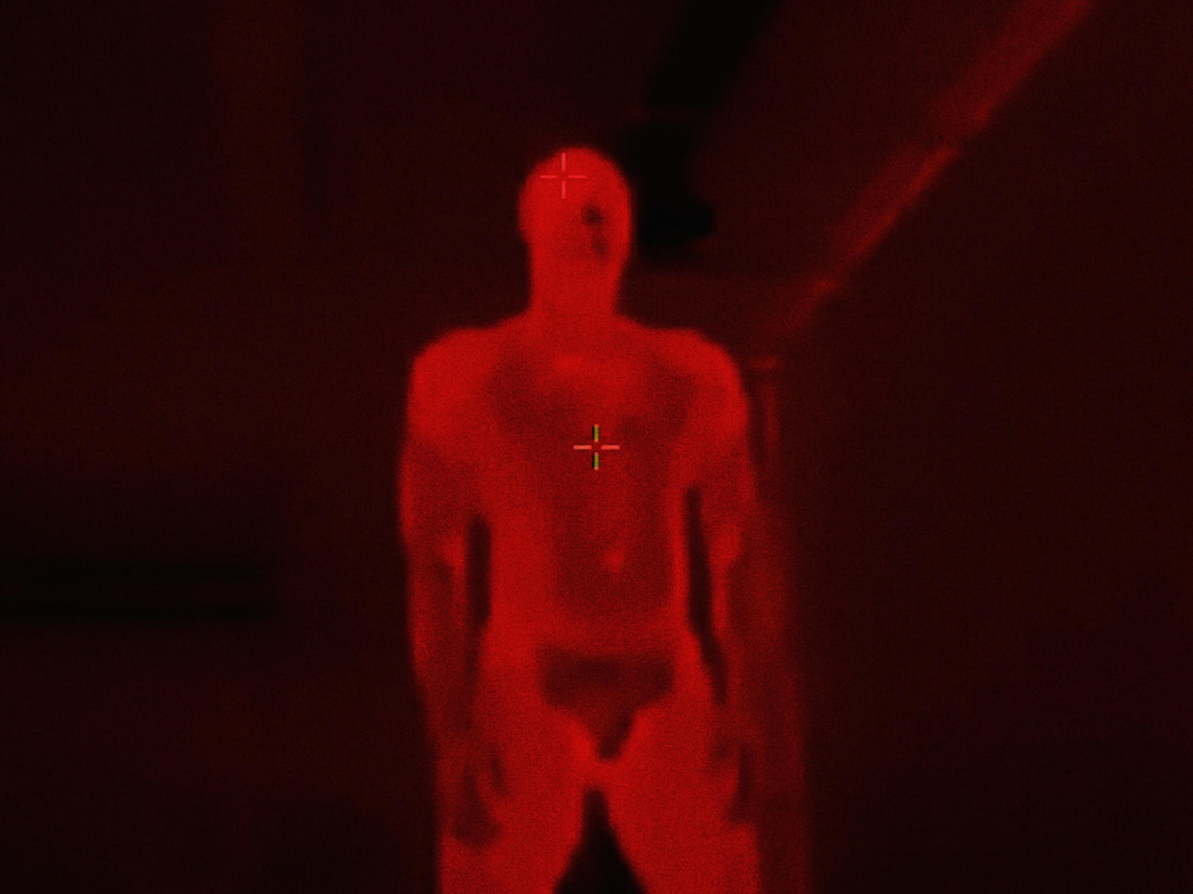 Shorts: Bodies