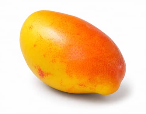 MANGO TANGO