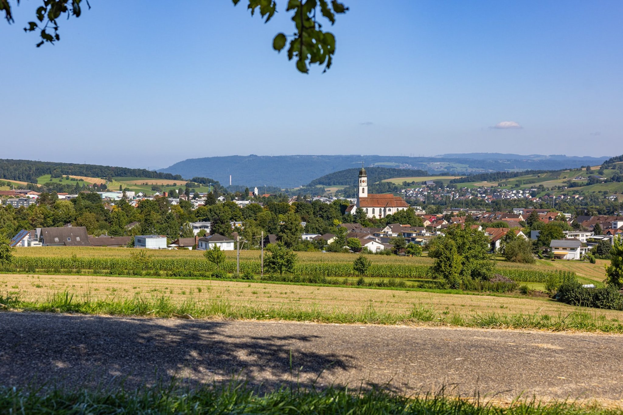 BLINK Fahrschule Frick