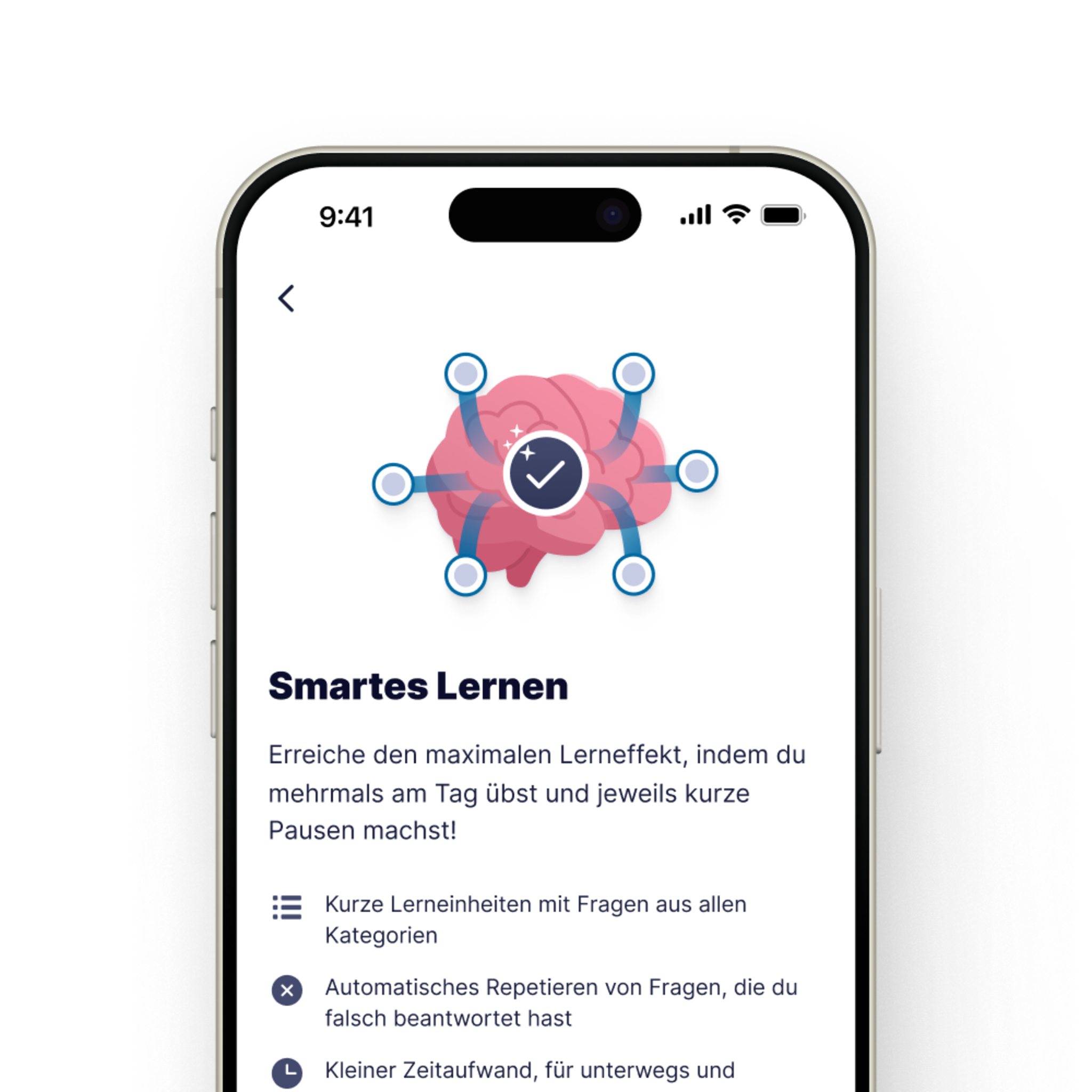 Theorie App mit smartem Algorithmus