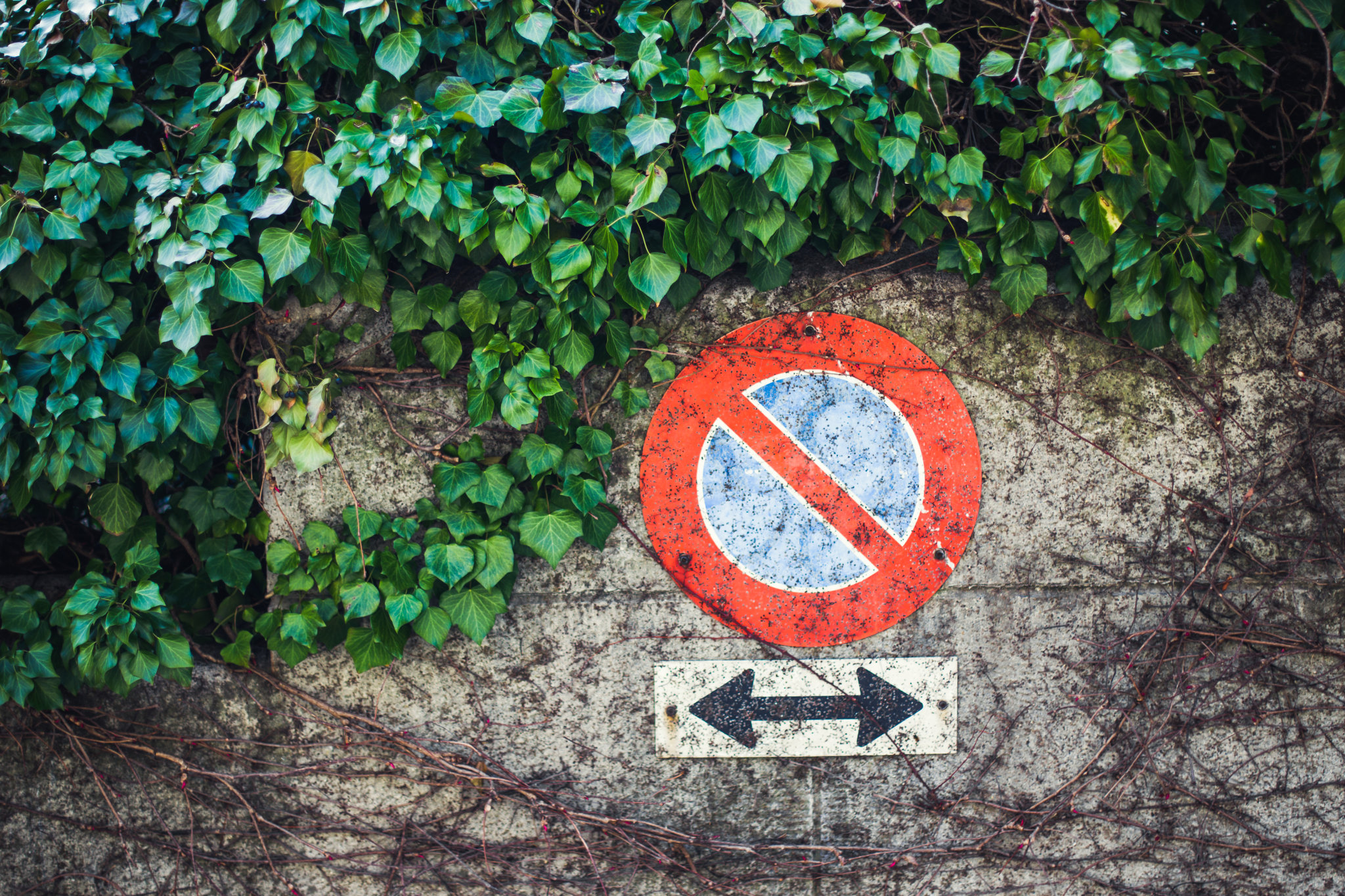 Parkverbot vs. Halteverbot Schilder und Zeichen im Vergleich Schweiz