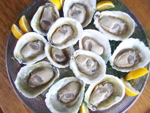 bluff-oysters