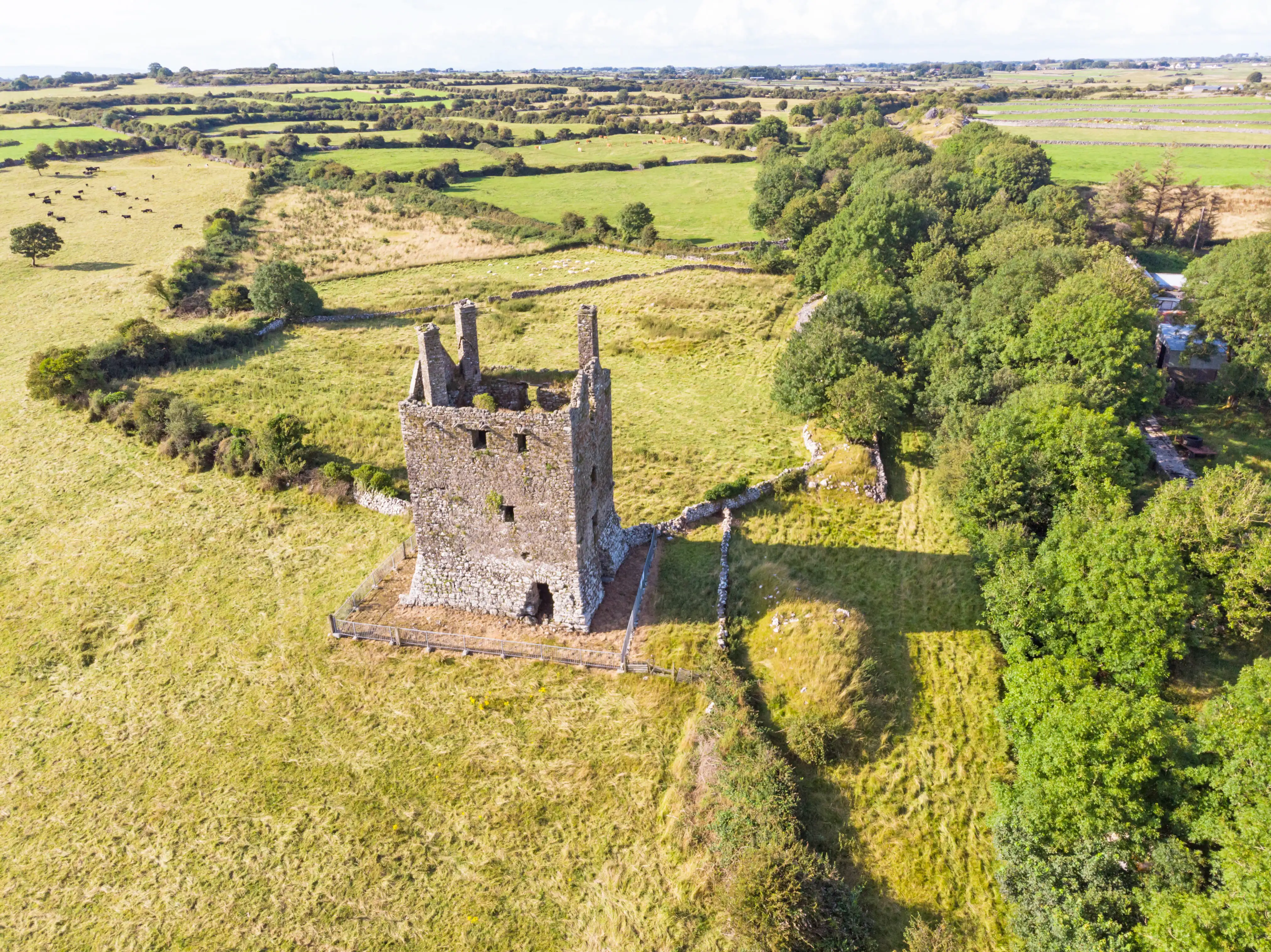 castelo no meio de jardim na irlanda