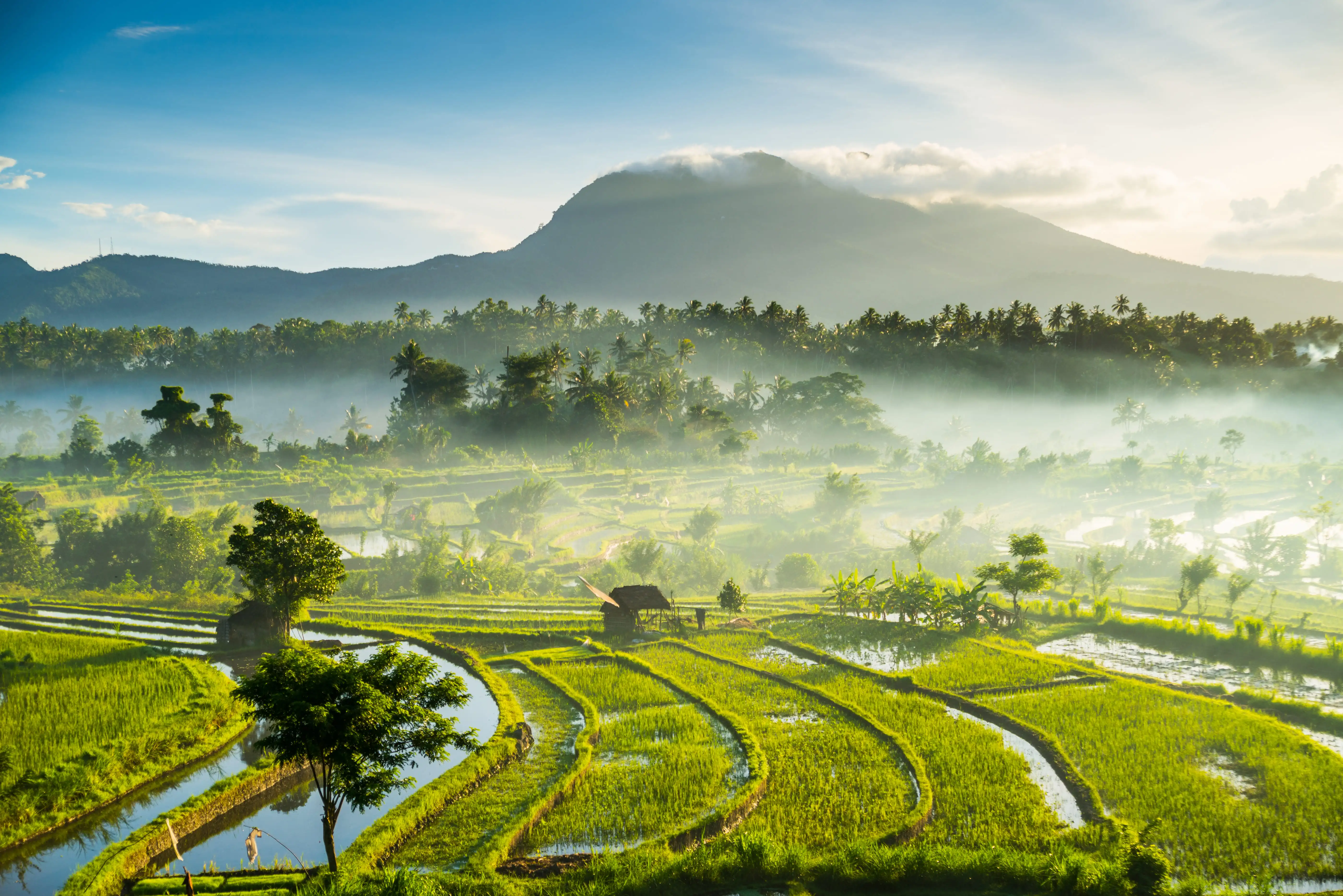vista aérea de bali na indonesia 