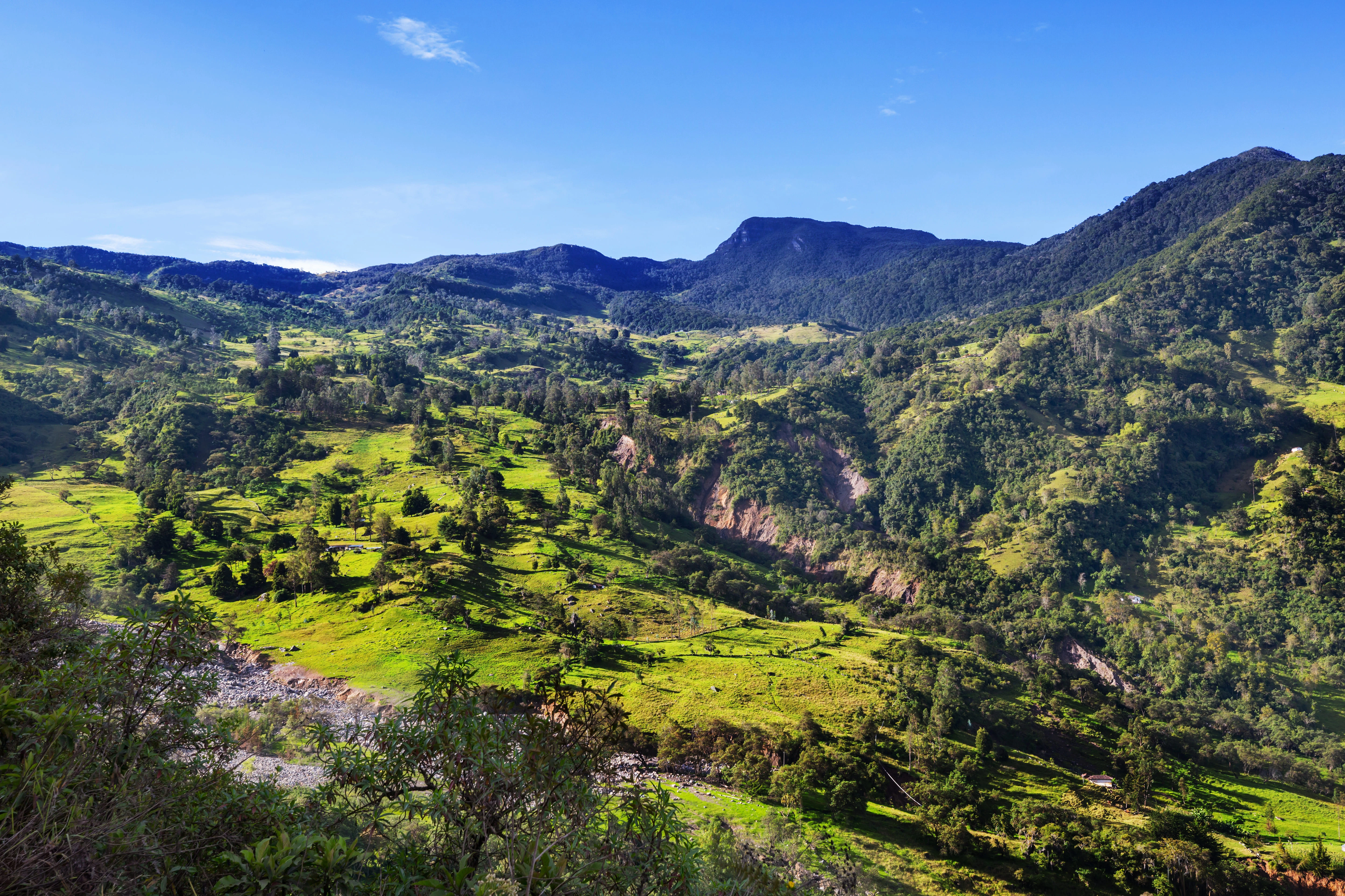 vista de colinas verdes na colombia