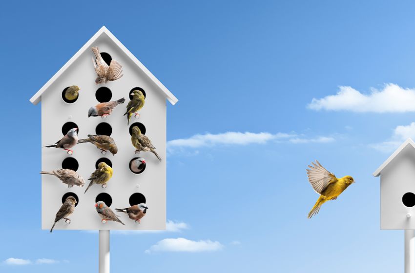 8 Ways to Manage Your Team While Social Distancing