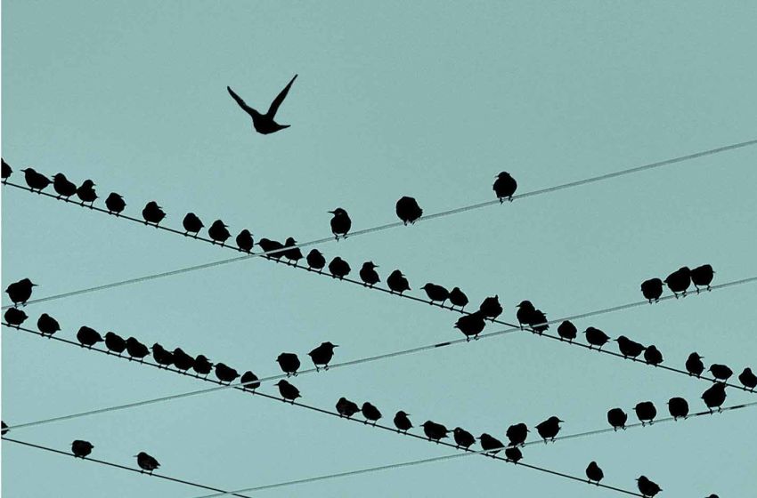 Layoffs That Don’t Break Your Company