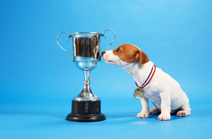 Why Employees Need Both Recognition and Appreciation
