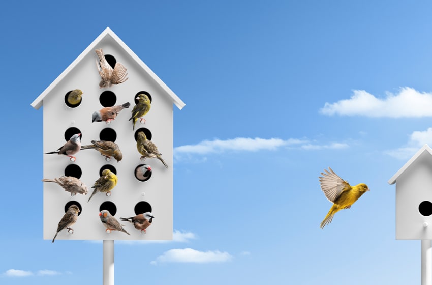 8 Ways to Manage Your Team While Social Distancing