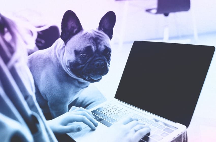 COVID-19 is Redefining What it Means To Be Professional