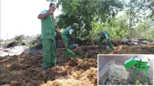 Projeto Água de Coco: Saúde e Sustentabilidade