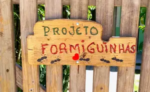 Projeto Social – La Torre apoia Formiguinhas em Trancoso