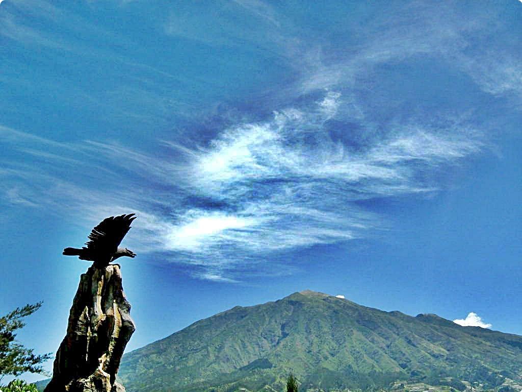 Melihat Gunung Merapi dari Ketep Pass Melihat Gunung Merapi dari Ketep Pass