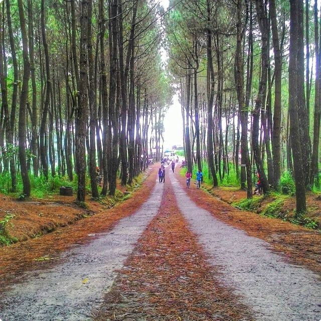 Tempat wisata di Magelang terbaru Tempat wisata di Magelang terbaru