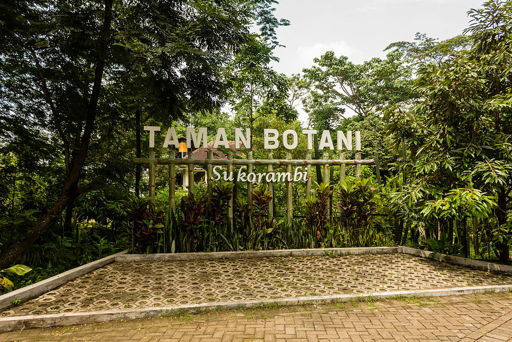 Pesona taman botani sukorambi jember sarana rekreasi edukatif Pesona taman botani sukorambi jember sarana rekreasi edukatif