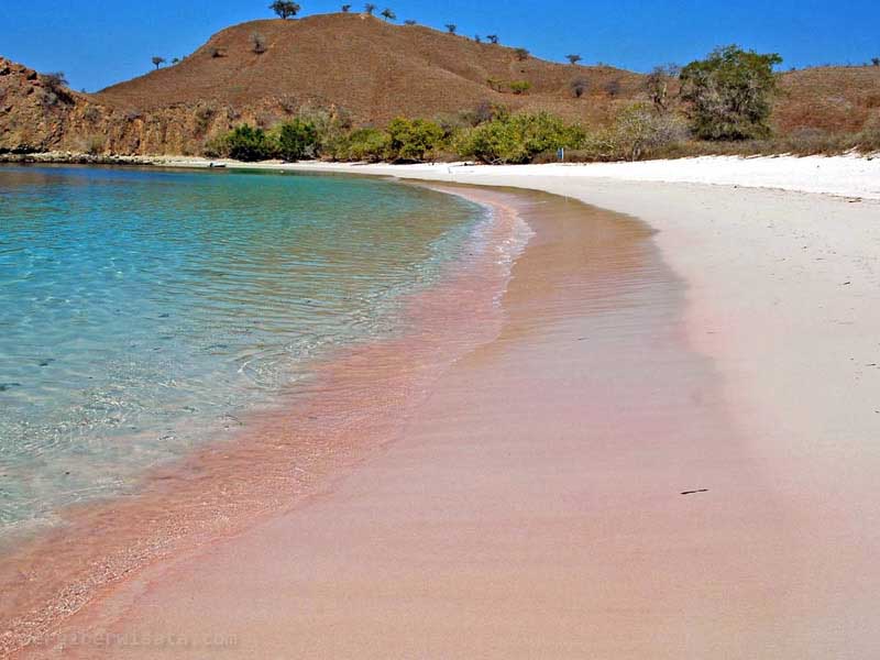 Indahnya pantai pink beach yang sangat eksotis