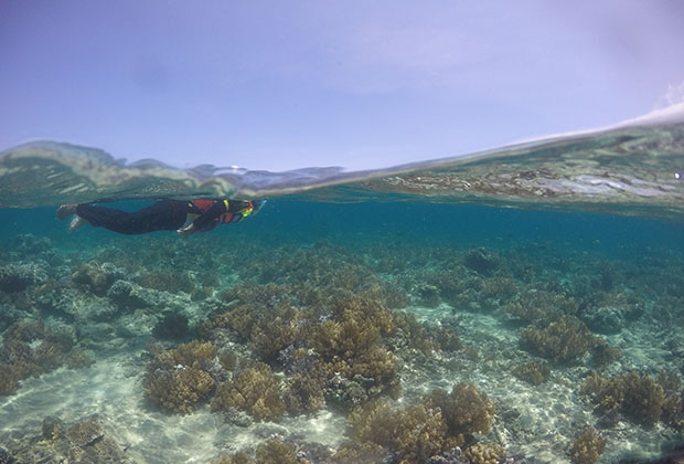 Wisata Gili Layar di Lombok Wisata Gili Layar di Lombok