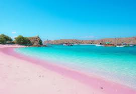bulan madu di pantai pink