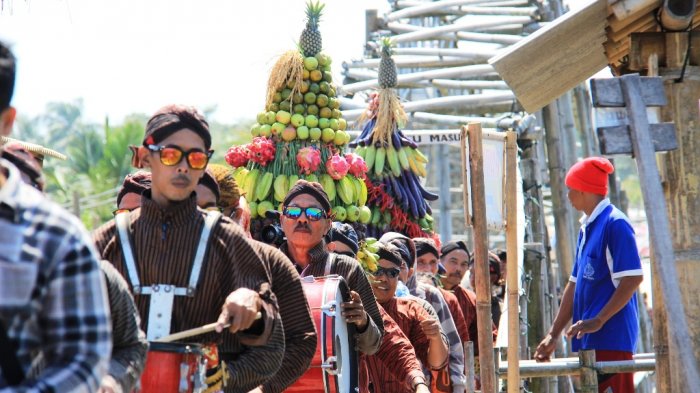 Melihat labuhan samudera di hutan Mangrove Melihat labuhan samudera di hutan Mangrove