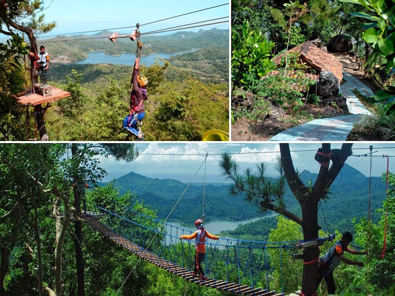 Desa wisata Kalibiru Jogja