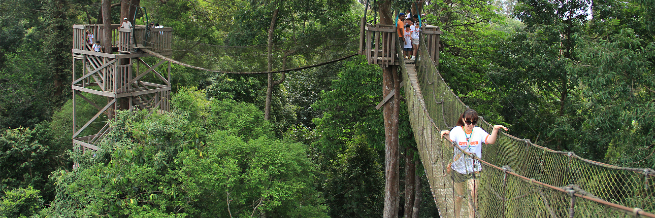 Tempat wisata Bukit Bangkirai Kalimantan Tempat wisata Bukit Bangkirai Kalimantan