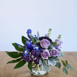 Shades of Violet
