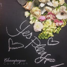 Champagne Blooms