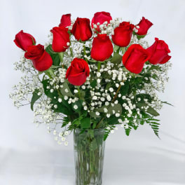 I M Sorry Roses Delivery Darien Springdale Florist Greenhouses