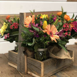 Graduation Gerbera Daisies Delivery Modesto Fresh Ideas Flower Co