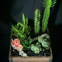 Best Friends Day Plants Delivery Bowling Green Jules With The Flowers