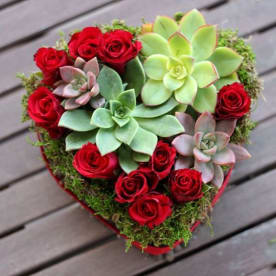 send succulents gardena ca