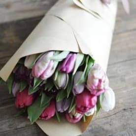 Tiptoeing Through Tulips After Madisons >> Madison Avenue Florist Send Tulips Flower Delivery Sacramento Ca Tiptoeing Through Tulips After Madisons >> Madison Avenue Florist Send Tulips Flower Delivery Sacramento Ca