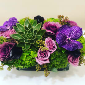 bloomnation